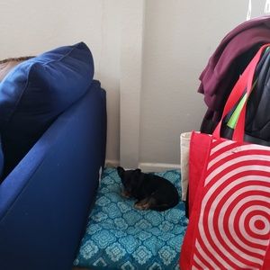 Meet your Posher, Doris